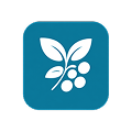 icon mayor floracion 01